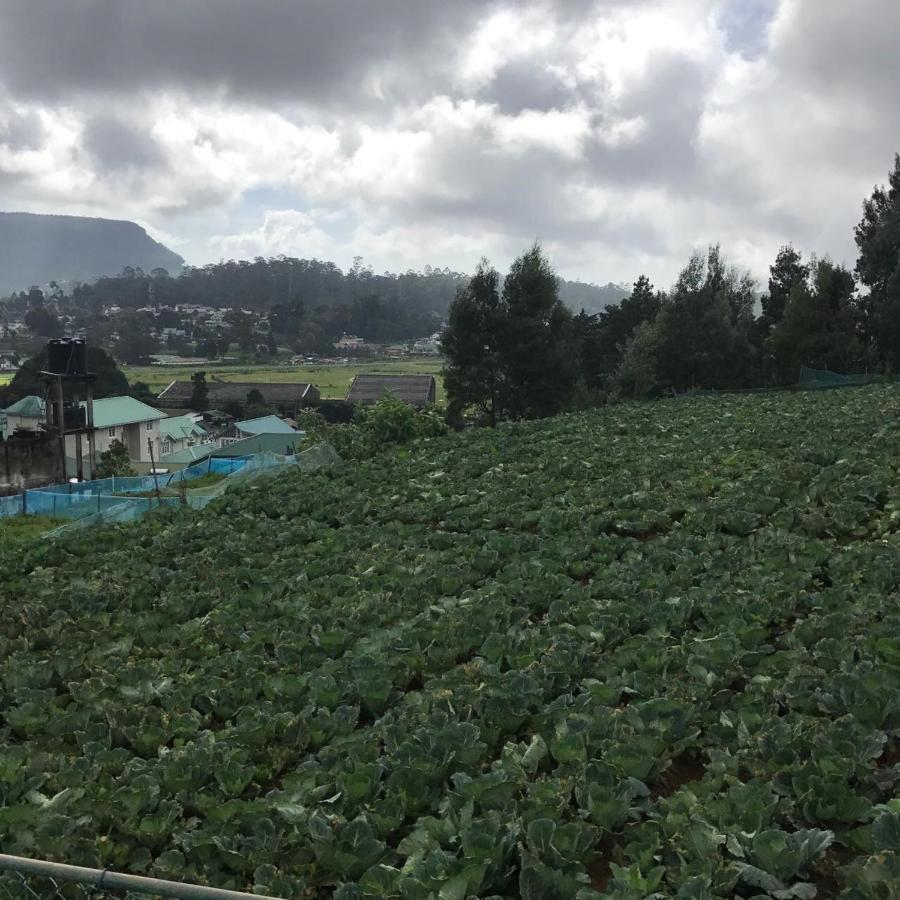 Dahlia Mount View Hotel Nuwara Eliya Exterior foto
